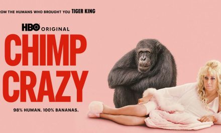 Chimp Crazy – Anmeldelse | Max