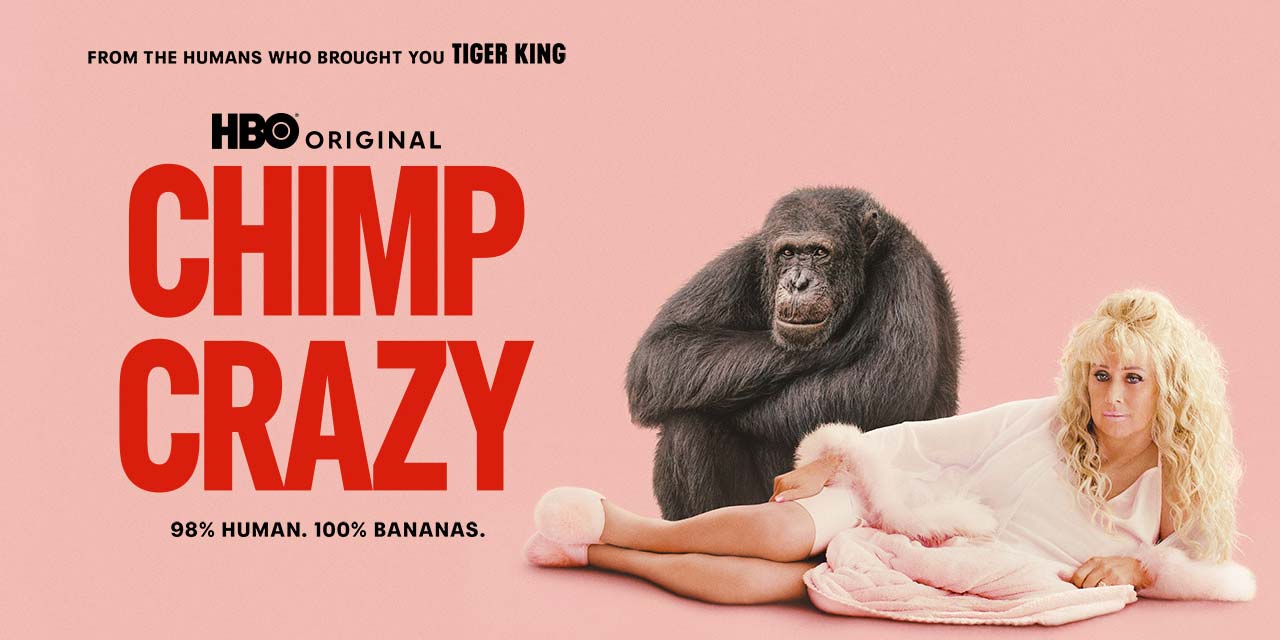 Chimp Crazy – Anmeldelse | Max